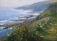 Summers Day along the coast path - SOLD