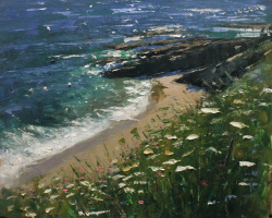 Cornish Cove, Summer 